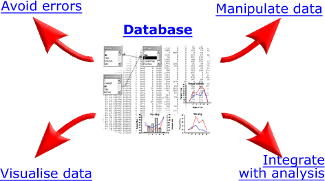 Database advantages